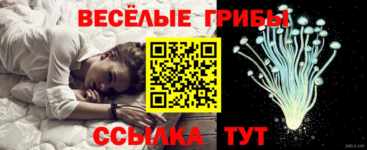 Красноармейск  Псилоцибиновые грибы Psilocybe  Вход с VPN 