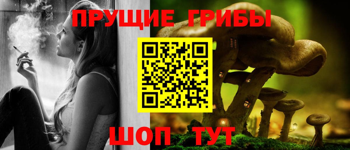 Галлюциногенные грибы Psilocybine cubensis Красноармейск